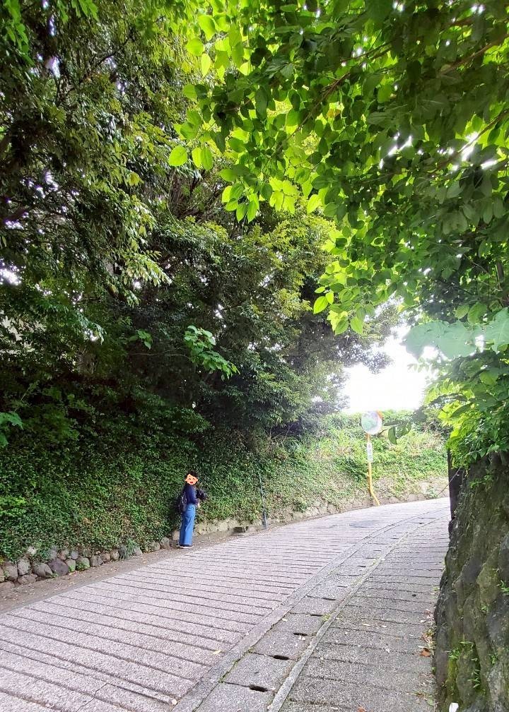 ホテルまでの道のり