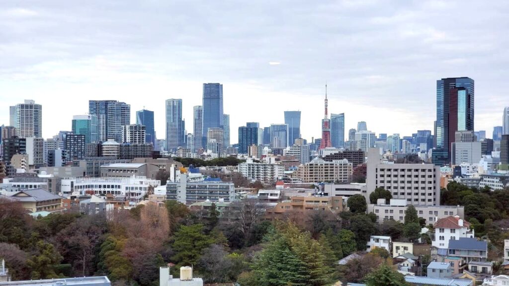 客室からの眺め１