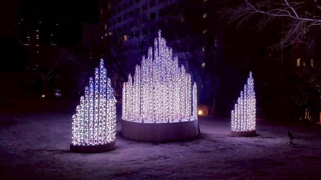 夜のライトアップ庭園３