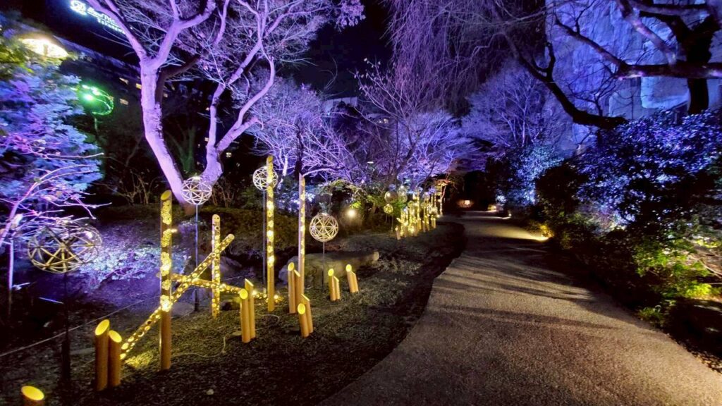 夜のライトアップ庭園１