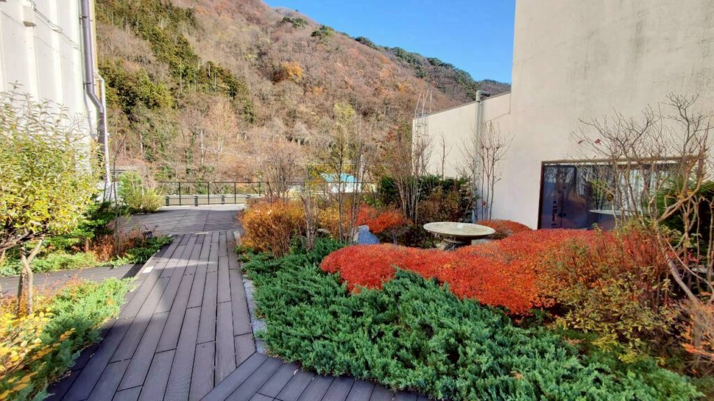 屋上庭園 水のテラス2