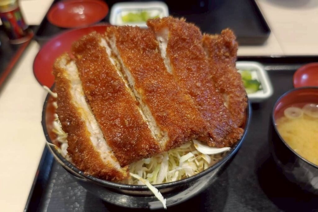 ソースかつ丼２