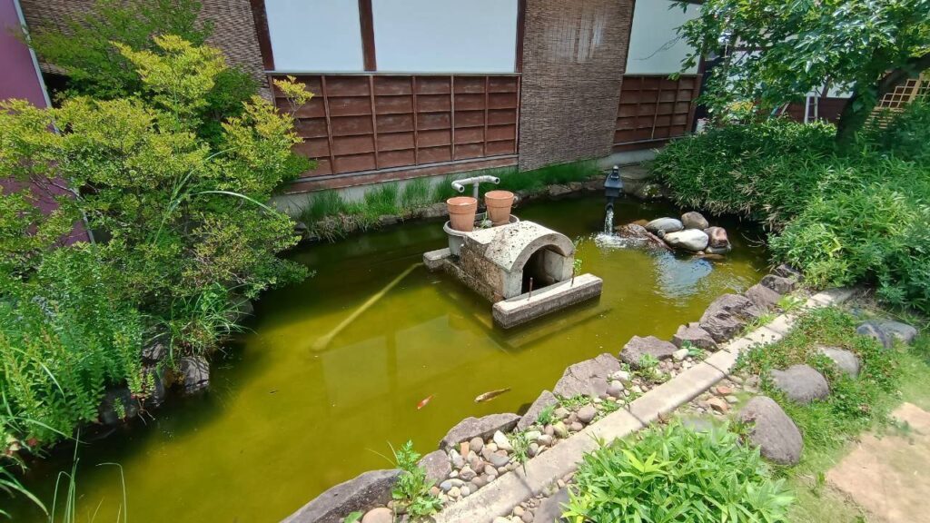 お店の外には池